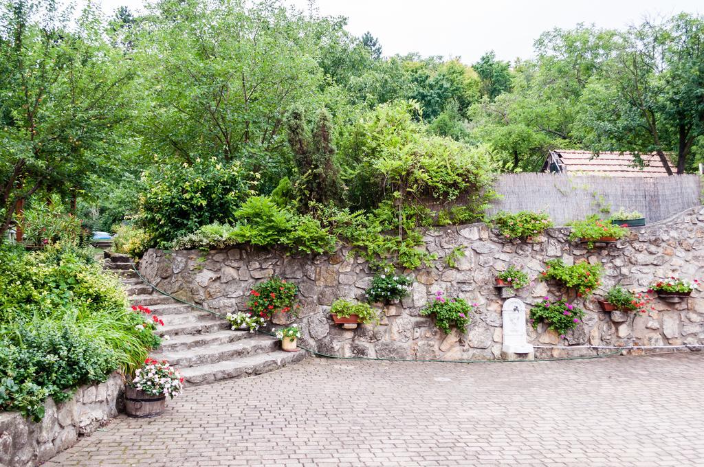 Babahaz Villa Bodajk Ngoại thất bức ảnh