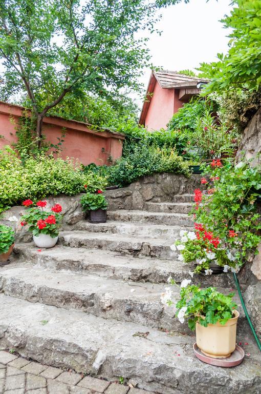 Babahaz Villa Bodajk Ngoại thất bức ảnh